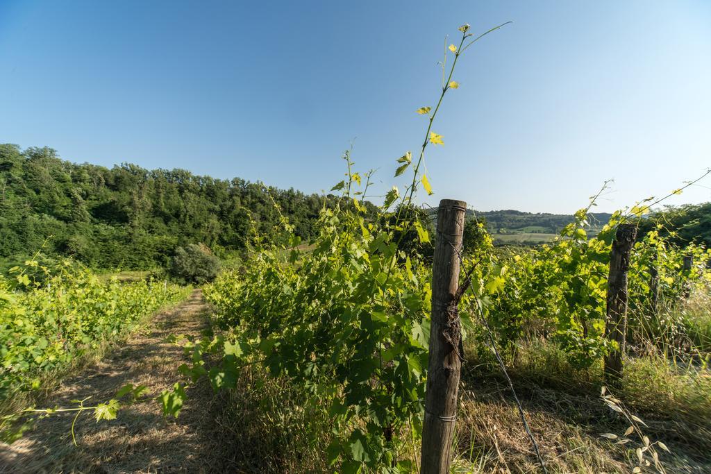 B&B Le Dimore Mezza Costa San Casciano in Val di Pesa Eksteriør billede