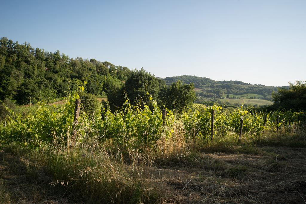 B&B Le Dimore Mezza Costa San Casciano in Val di Pesa Eksteriør billede